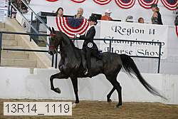 13r14_1119 proof