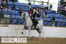 13r14_1121 proof