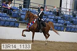 13r14_1133 proof