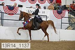 13r14_1137 proof