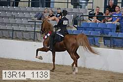 13r14_1138 proof