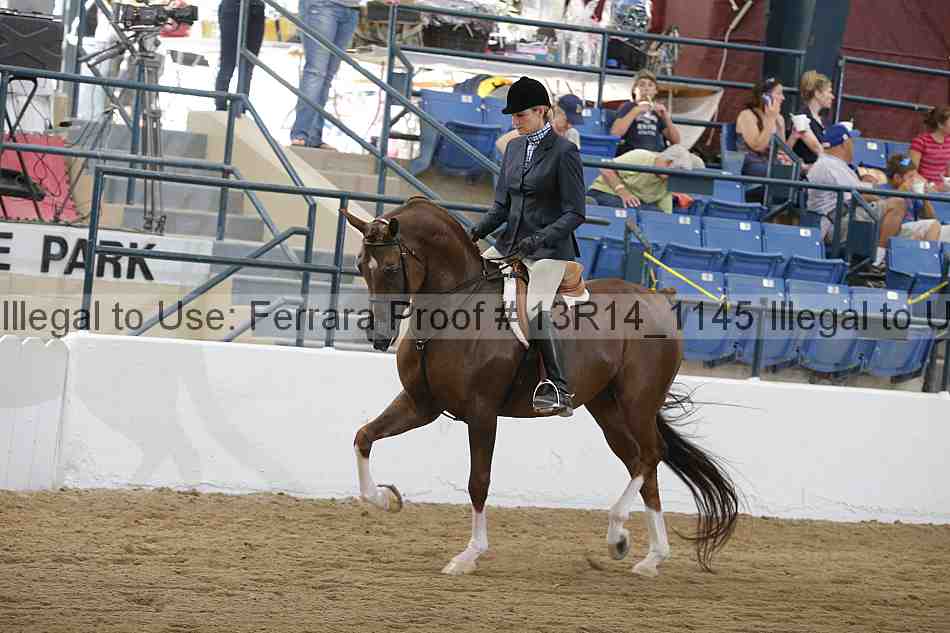 Proof 13r14_1145