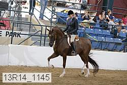 13r14_1145 proof