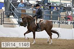 13r14_1146 proof