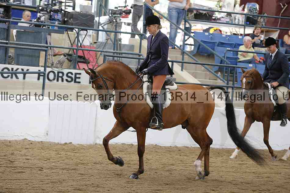 Proof 13r14_1147