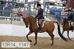 13r14_1147 proof