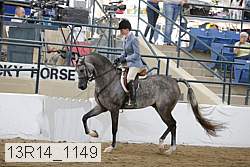 13r14_1149 proof