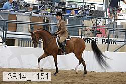 13r14_1151 proof