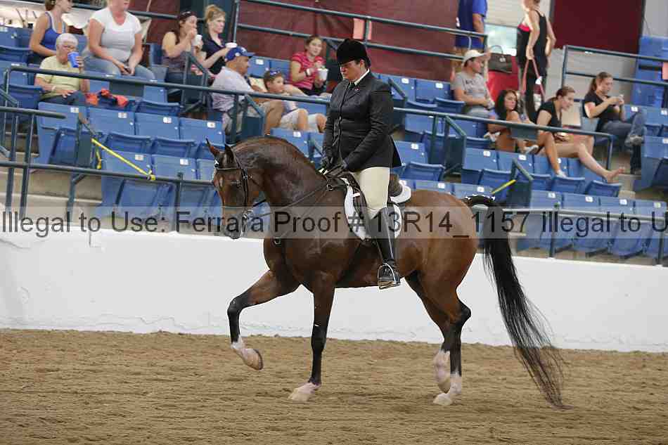 Proof 13r14_1157