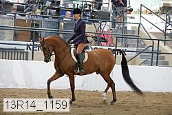13r14_1159 proof
