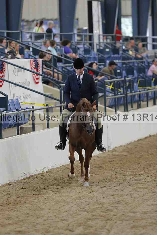 Proof 13r14_1160