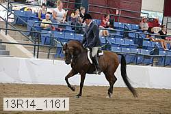 13r14_1161 proof