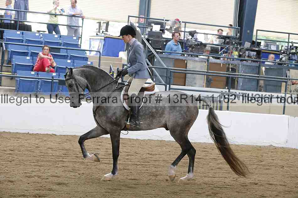 Proof 13r14_1162