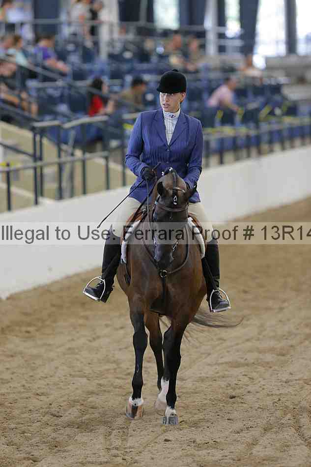 Proof 13r14_1163