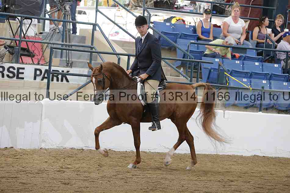 Proof 13r14_1166