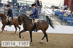 13r14_1167 proof