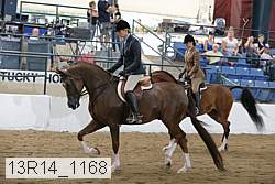 13r14_1168 proof