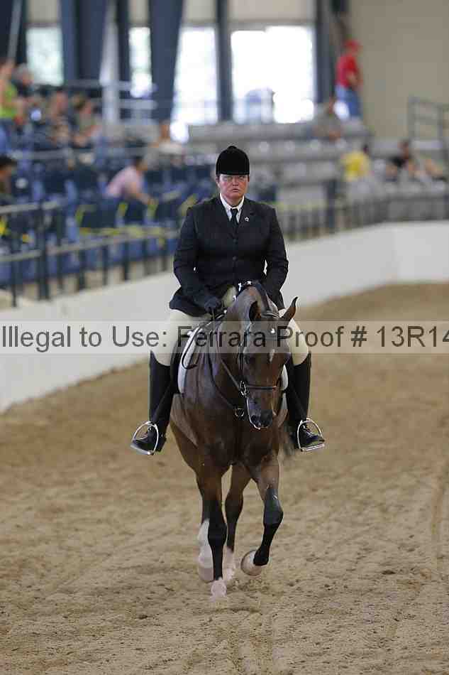 Proof 13r14_1169