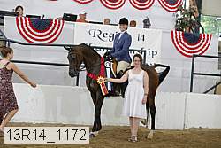 13r14_1172 proof