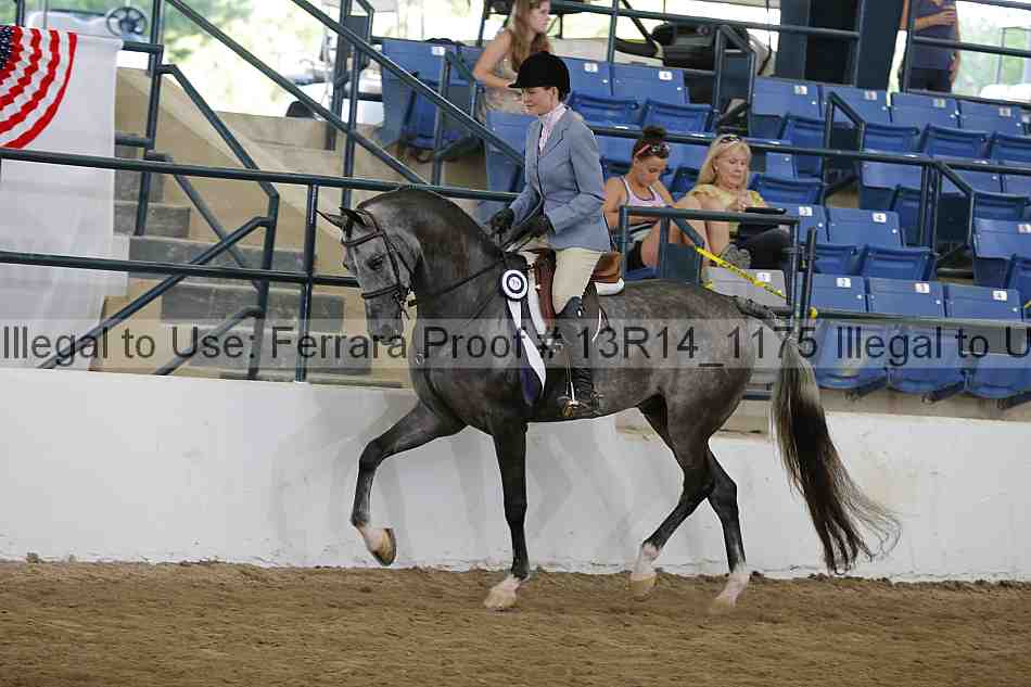 Proof 13r14_1175