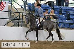 13r14_1175 proof