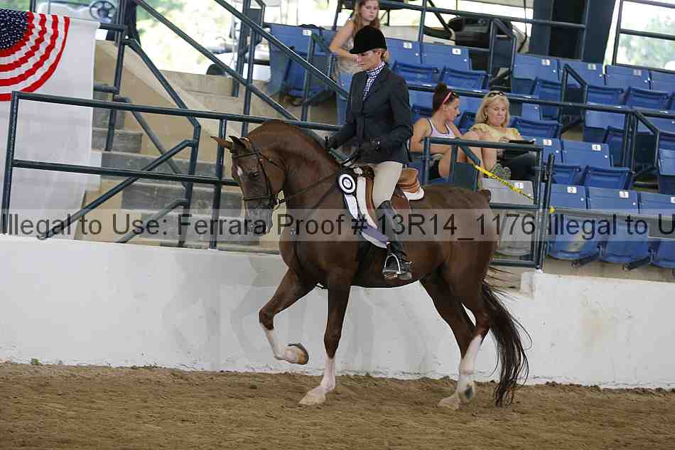Proof 13r14_1176