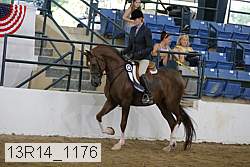 13r14_1176 proof