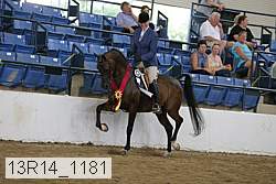 13r14_1181 proof