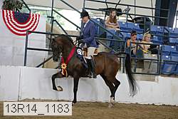 13r14_1183 proof