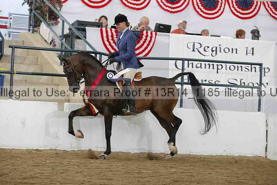 Proof 13r14_1185