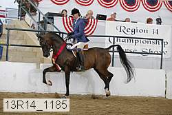 13r14_1185 proof