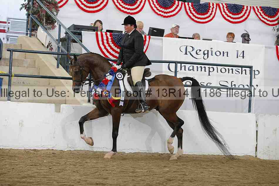 Proof 13r14_1186