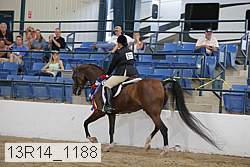 13r14_1188 proof
