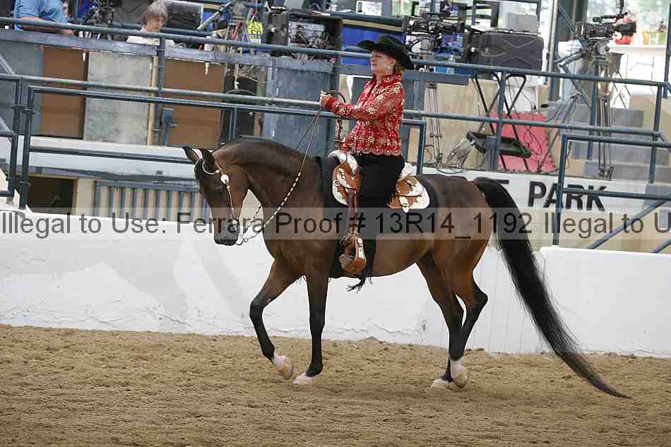 Proof 13r14_1192