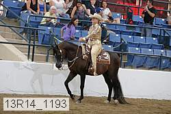 13r14_1193 proof