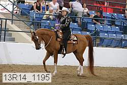 13r14_1195 proof