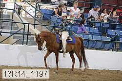 13r14_1197 proof