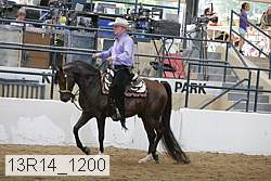 13r14_1200 proof