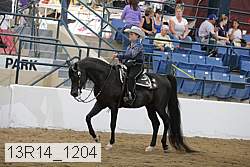 13r14_1204 proof