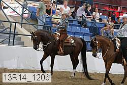 13r14_1206 proof