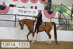 13r14_1233 proof