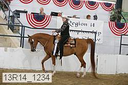 13r14_1234 proof