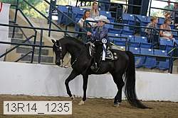 13r14_1235 proof