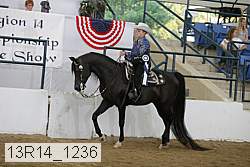 13r14_1236 proof