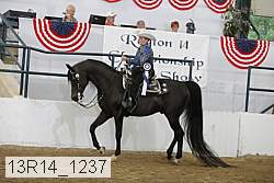 13r14_1237 proof
