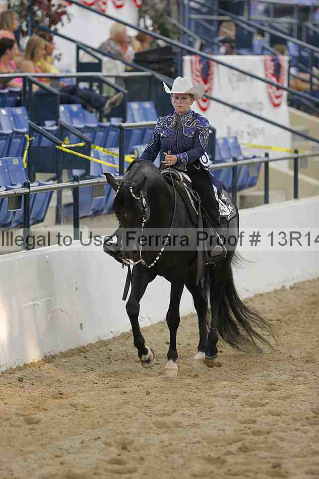 Proof 13r14_1241