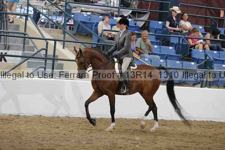 Proof 13r14_1310