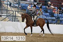 13r14_1310 proof