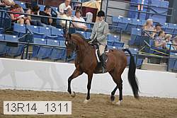 13r14_1311 proof