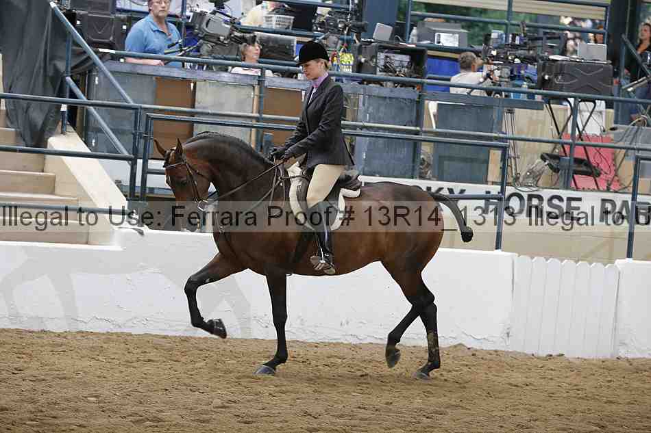 Proof 13r14_1313